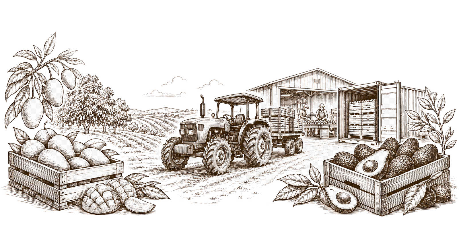 Operação agrícola de exportação